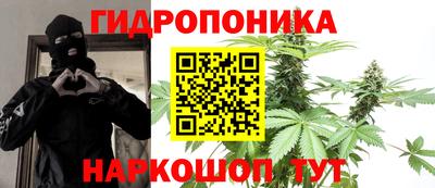 амф Сланцы