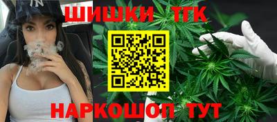амф Сланцы