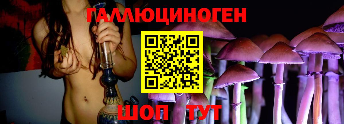 Галлюциногенные грибы Psilocybe  купить  цена  Валуйки  Вход с VPN 